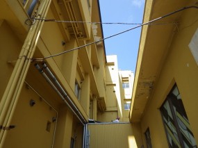 awara (6)