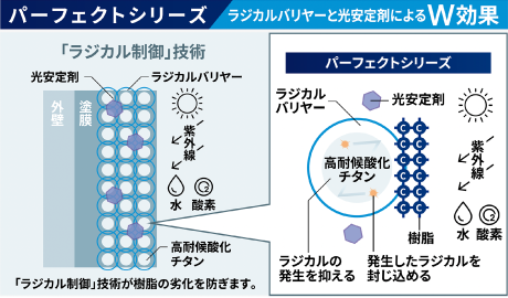 パーフェクトトップ