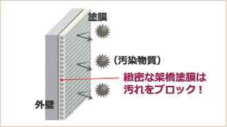 緻密な架橋塗膜は汚れをブロック!